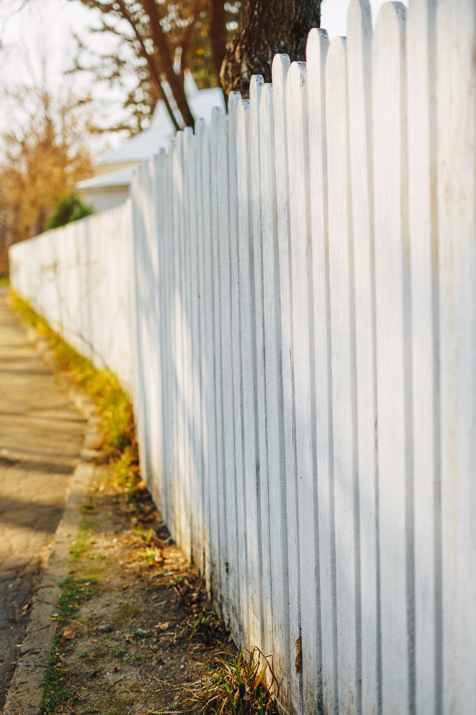 High White Privacy Fence in Autumn