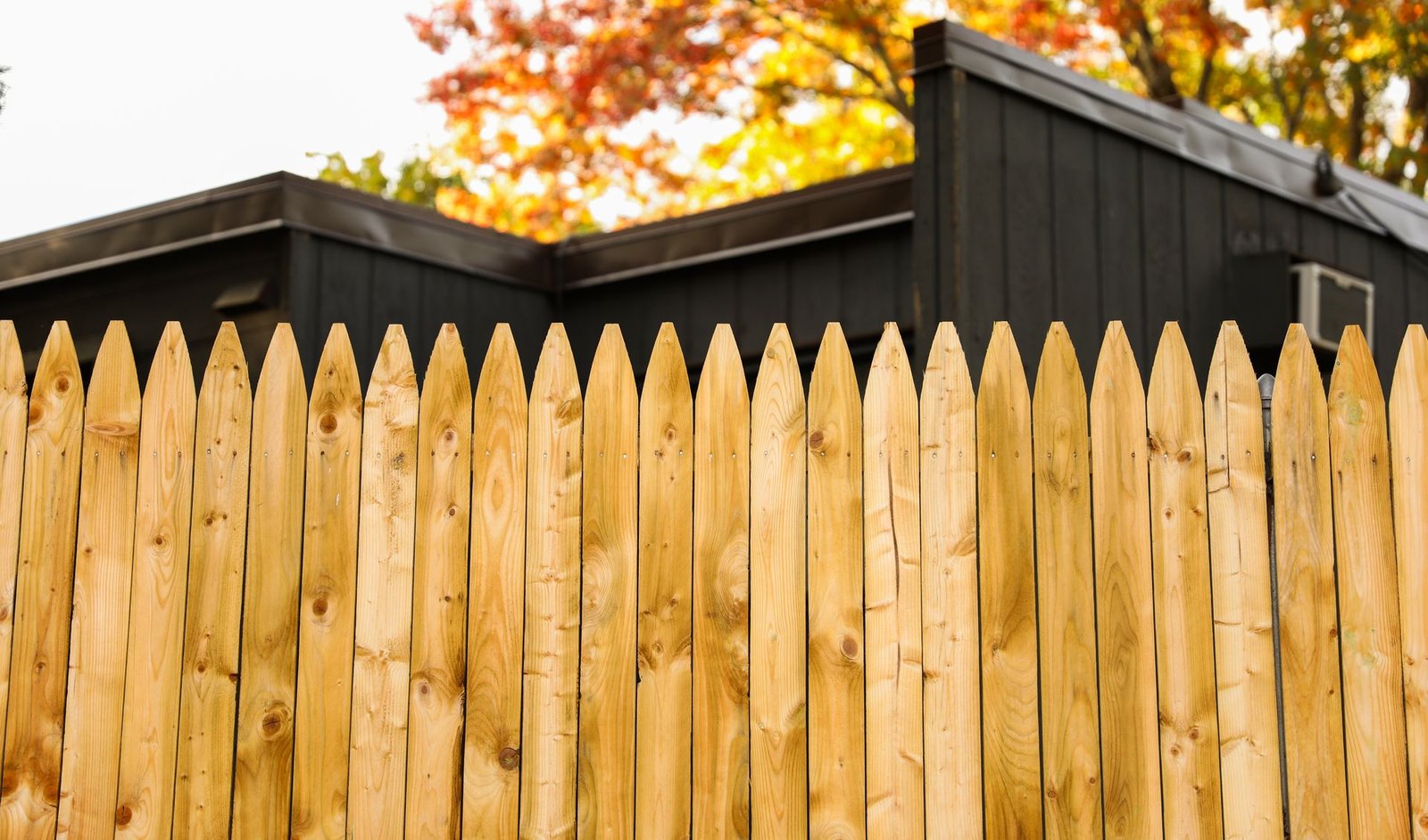 Natural Cedar Fence in Sunlight